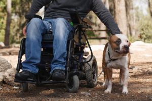 man in wheelchair petting his dog
